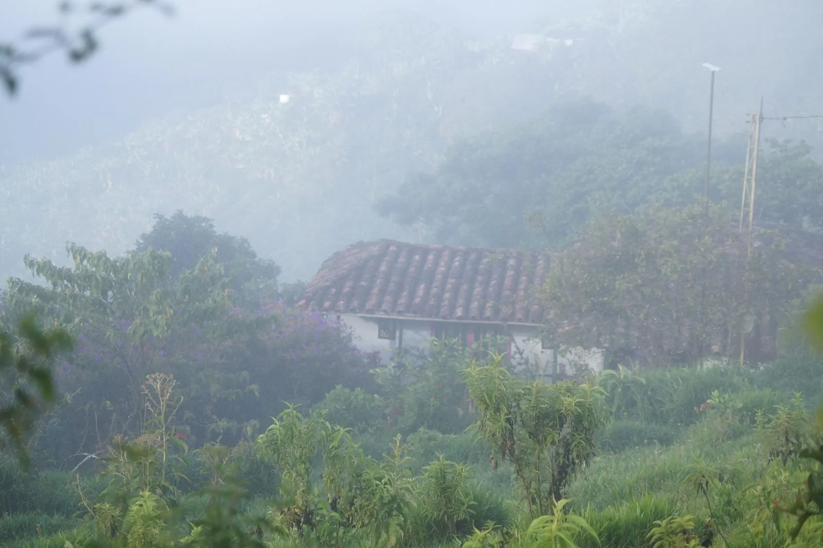 Das Finca Haus im Bergnebel